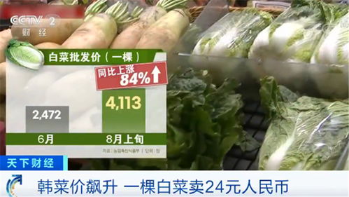 韓國民眾叫苦不迭 菜價(jià)水產(chǎn)品價(jià)格一路飆升，生活壓力陡增